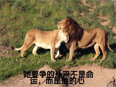 小说《她要争的从来不是命运,而是他的心 》全文免费阅读无弹窗-她要争的从来不是命运,而是他的心 (何嘉冉薄司景)小说全文在线赏析_笔趣阁
