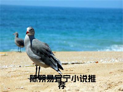  陈朔易宜宁精彩小说（情窦初开）阅读大结局 情窦初开免费版小说更新阅读_笔趣阁