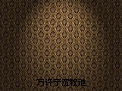方许宁沈牧池小说（沈牧池方许宁）全文免费阅读无弹窗大结局_方许宁沈牧池小说最新章节列表_笔趣阁