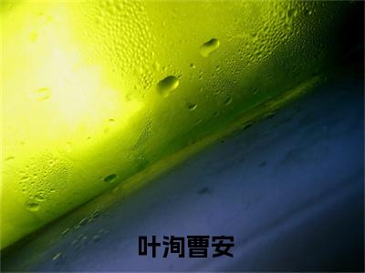 平定乱世：从被废黜开始( 叶洵曹安）小说全文免费读无弹窗大结局_（平定乱世：从被废黜开始小说全文免费阅读）最新章节列表笔趣阁（ 叶洵曹安）