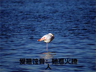 爱意蚀骨：她惹火撩人，引神明坠落( 姜浅陆清时)小说全文免费阅读无弹窗大结局_爱意蚀骨：她惹火撩人，引神明坠落最新章节列表