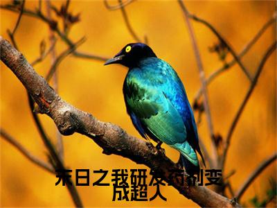  周明承黄木肖（末日之我研发药剂变成超人）小说全文无删减版在线阅读_末日之我研发药剂变成超人（ 周明承黄木肖无弹窗）_笔趣阁