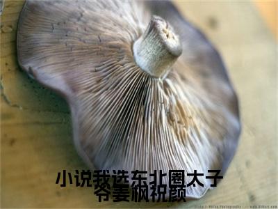  陆扬尘姜枫（我选东北圈太子爷姜枫祝颜）全文免费阅读无弹窗大结局_我选东北圈太子爷姜枫祝颜最新章节列表笔趣阁