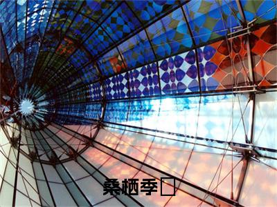 季珵桑栖小说桑栖季珵在哪里可以看-主角是季珵桑栖的小说桑栖季珵