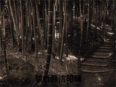主人公叫(沈昭曦裴行商)的小说(裴行商沈昭曦)免费阅读最新章节列表_笔趣阁