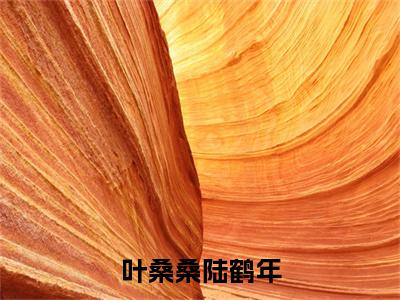 叶桑桑陆鹤年全文免费阅读无弹窗大结局_(陆鹤年叶桑桑)叶桑桑陆鹤年全文免费无弹窗最新章节列表_笔趣阁