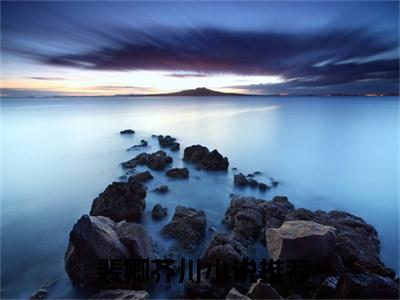 小说文野：精神病的二次救赎（ 裴卿芥川全文免费阅读）完结阅读_ 裴卿芥川全文免费阅读免费看全文