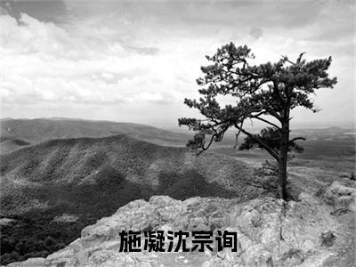 施凝沈宗询（沈宗询施凝）全文免费大结局，施凝沈宗询结局在线阅读