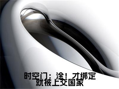 时空门：淦！才绑定就被上交国家小说（萧韶华)全文免费阅读无弹窗大结局_时空门：淦！才绑定就被上交国家完整版最新阅读_笔趣阁（萧韶华）