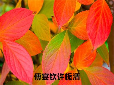 许栀清傅宴钦快手小说(傅宴钦许栀清)txt阅读大结局-抖音近期热门许栀清傅宴钦全文免费