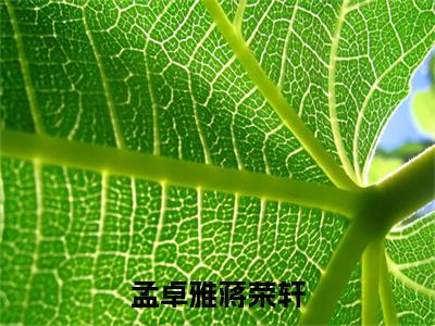 孟卓雅蒋荣轩小说全文免费阅读无弹窗大结局_（蒋荣轩孟卓雅免费阅读无弹窗）最新章节列表_笔趣阁