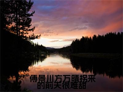 拐来的前夫很难甜（ 傅景川方万晴）全文免费阅读无弹窗大结局_ 傅景川方万晴小说最新章节列表_笔趣阁(拐来的前夫很难甜）