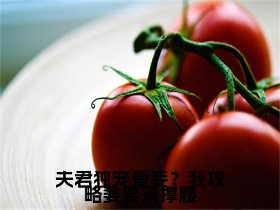 夫君独宠爱妾？我攻略婆婆来撑腰免费阅读无弹窗最新章节列表-（陆令筠程云朔）全文免费阅读大结局笔趣阁（陆令筠程云朔）