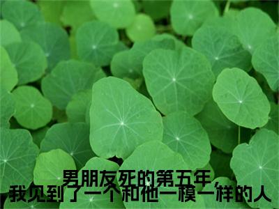 戚岁安陆靳深全文免费阅读无弹窗大结局_(男朋友死的第五年,我见到了一个和他一模一样的人阅读全文大结局)戚岁安陆靳深最新章节列表(男朋友死的第五年,我见到了一个和他一模一样的人)