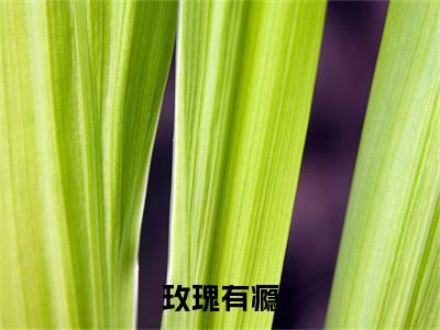  温漫闻彦川全文免费(玫瑰有瘾)全集小说完整版大结局- 温漫闻彦川全文阅读无弹窗