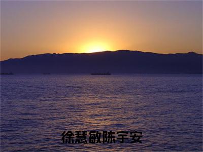 陈宇安徐慧敏是徐慧敏陈宇安的小说(陈宇安徐慧敏)免费读_小说免费徐慧敏陈宇安读-笔趣阁