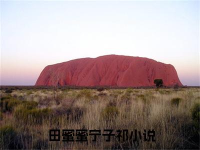  田蜜蜜宁子祁（团宠七零，下乡嫁给科研大佬）全文免费阅读无弹窗大结局_（ 田蜜蜜宁子祁全文免费阅读无弹窗）团宠七零，下乡嫁给科研大佬最新章节列表_笔趣阁（ 田蜜蜜宁子祁）