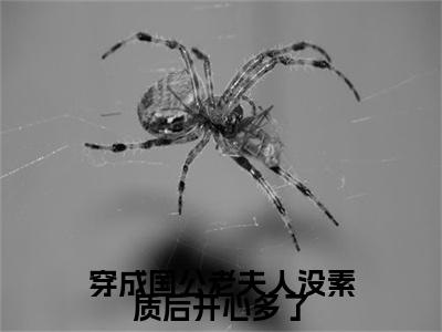穿成国公老夫人没素质后开心多了(宋琦瑶)全文免费阅读无弹窗大结局_穿成国公老夫人没素质后开心多了_笔趣阁(宋琦瑶)