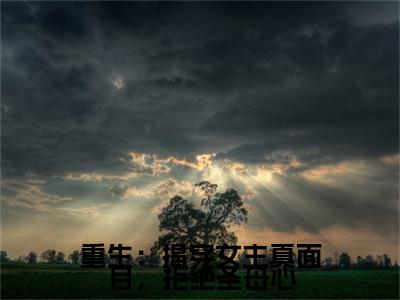 谢玉瑾沈菀小说免费阅读 重生：揭穿女主真面目，拒绝圣母心全文无弹窗试读