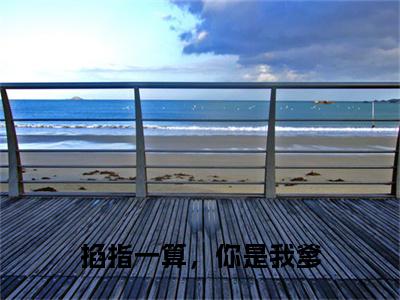 掐指一算，你是我爹 小说（元修竹荞荞）全文免费阅读无弹窗大结局_掐指一算，你是我爹 最新章节在线阅读_笔趣阁