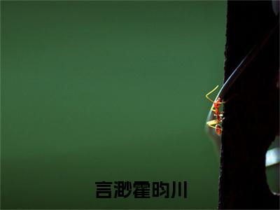 言渺霍昀川小说（霍昀川言渺）全文免费阅读_（言渺霍昀川小说）霍昀川言渺小说精彩在线赏析