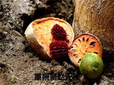 主角为赵无陵董婉婉的小说-董婉婉赵无陵(赵无陵董婉婉)全文完整版阅读