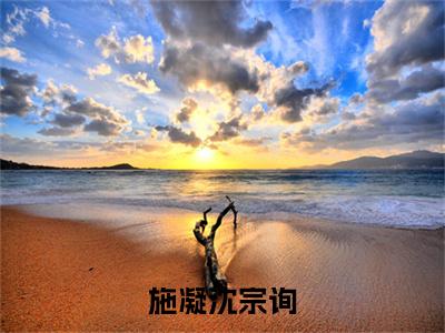 施凝沈宗询热门榜单小说 沈宗询施凝完本小说无弹窗免费阅读