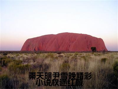 精彩小说权途红颜（ 秦天明尹雪晚）小说在线阅读_精彩小说权途红颜免费阅读笔趣阁（ 秦天明尹雪晚）