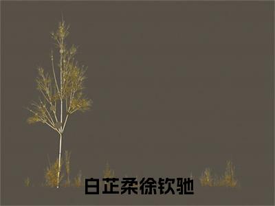 白芷柔徐钦驰小说好看吗 白芷柔徐钦驰热门推荐小说（徐钦驰白芷柔）全章节阅读_笔趣阁