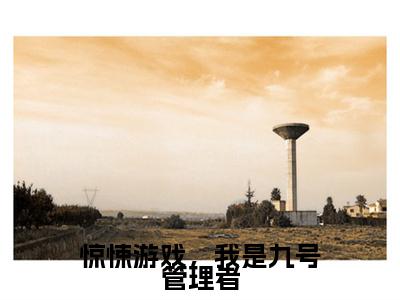 惊悚游戏，我是九号管理者月鸢小说结局-惊悚游戏，我是九号管理者全文无弹窗阅读