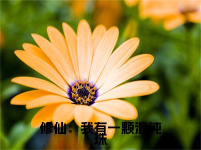  陈群李严华是哪部小说的主角，修仙：我有一颗混沌珠全文在线赏析