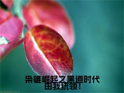 枭雄崛起之黑道时代由我统领！（ 雷震赵红旗）最新小说全文阅读-2023热点小说枭雄崛起之黑道时代由我统领！（ 雷震赵红旗）最新章节免费阅读