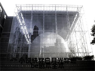 小说快穿白月光穿进be剧本（ 青黛贺邵洲）全文免费阅读无弹窗- 青黛贺邵洲小说完整版在线阅读