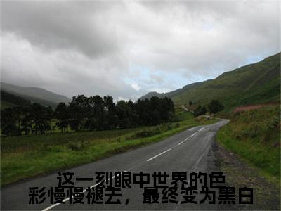 虞非晚裴骁南（这一刻眼中世界的色彩慢慢褪去，最终变为黑白小说全文）在线阅读-虞非晚裴骁南全文免费阅读无弹窗大结局