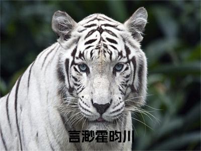 言渺霍昀川霍昀川言渺最新章节免费阅读 霍昀川言渺小说最新章节