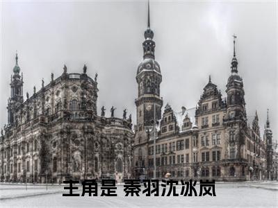  秦羽沈冰岚我，异姓亲王，纨绔一点怎么了免费阅读无弹窗 小说 秦羽沈冰岚最新章节