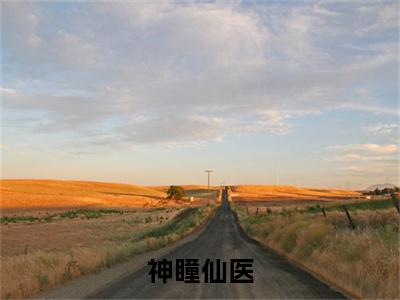 新上热文神瞳仙医在线阅读-许川叫许川的小说（神瞳仙医）全文完整版免费阅读