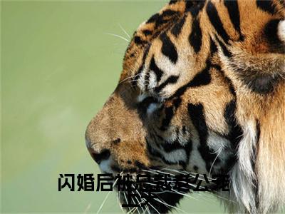 闪婚后被总裁老公宠上天 是什么小说-（姜柠程楼）闪婚后被总裁老公宠上天 无弹窗免费阅读大结局最新章节列表_笔趣阁