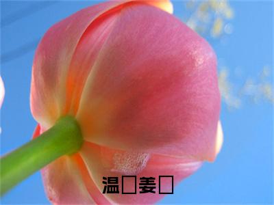 温湉姜珣（姜珣温湉）全文免费阅读无弹窗_姜珣温湉最新小说_笔趣阁