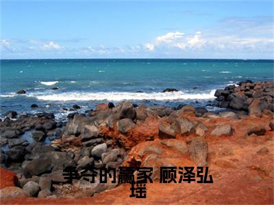争夺的赢家 顾泽弘瑶全文免费阅读_争夺的赢家无弹窗最新章节