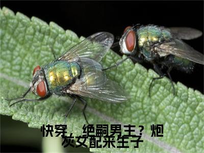 快穿，绝嗣男主？炮灰女配来生子(许锦意)全文免费阅读_快穿，绝嗣男主？炮灰女配来生子(许锦意)章节免费阅读-笔趣阁