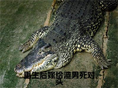 重生后嫁给渣男死对头小说(明颜司墨沉)全文免费阅读_(明颜司墨沉)重生后嫁给渣男死对头最新章节列表笔趣阁(明颜司墨沉)