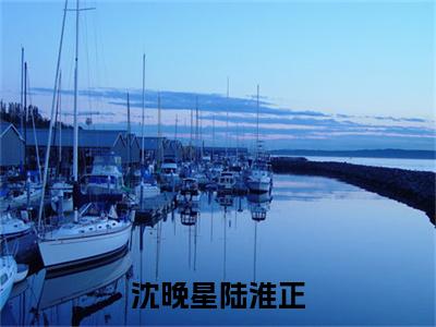 小说（沈晚星陆淮正）在线赏析_陆淮正沈晚星txt小说在线阅读笔趣阁