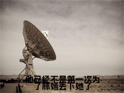 他已经不是第一次为了林嫣丢下她了(温湉)全文免费读无弹窗大结局_温湉免费小说他已经不是第一次为了林嫣丢下她了读无弹窗最新章节列表_笔趣阁(温湉)