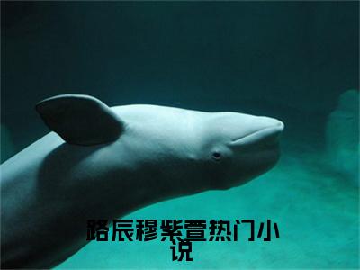  路辰穆紫萱（ 路辰穆紫萱）全文免费阅读无弹窗大结局_多子多福，从派守边疆开始最新章节列表_笔趣阁