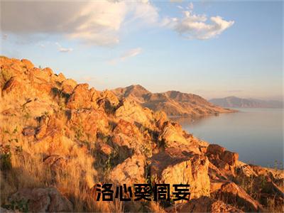 【新书】洛心葵周妄全文全章节免费阅读-周妄洛心葵小说免费阅读无弹窗最新章节列表