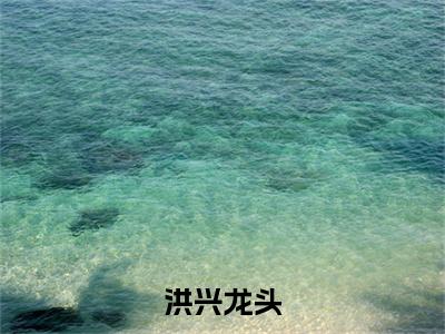 洪兴龙头(霍文俊)全文免费阅读无弹窗_(霍文俊的小说全文免费阅读)洪兴龙头小说最新章节列表无删减_笔趣阁