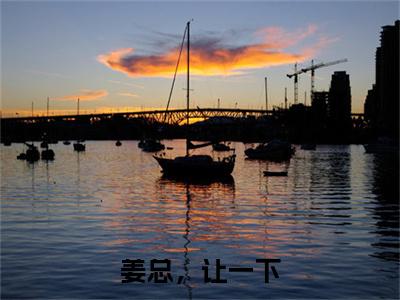 姜珣温湉（姜总，让一下）在哪里可以免费看-姜总，让一下（姜珣温湉）小说全章节免费阅读