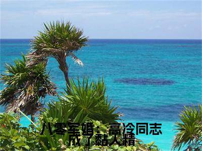  江宁秦九烈（八零军婚：高冷同志成了黏人精）高质量小说免费阅读-主角是 江宁秦九烈的小说叫什么名字（八零军婚：高冷同志成了黏人精）