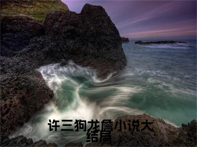 许三狗（ 许三狗龙詹）小红书热荐小说-许三狗女生爱看的小说全集资源
